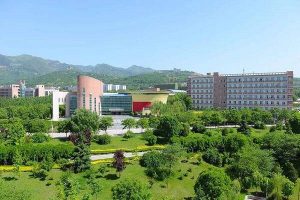 Pat King – University Teaching Experience in Nanchang and Shenzhen