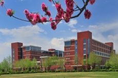 Hebei University