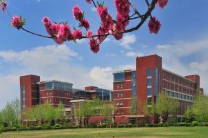 Hebei University