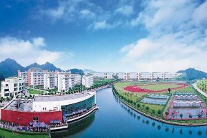 Hohai University