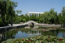 Ludong University