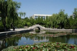 Ludong University