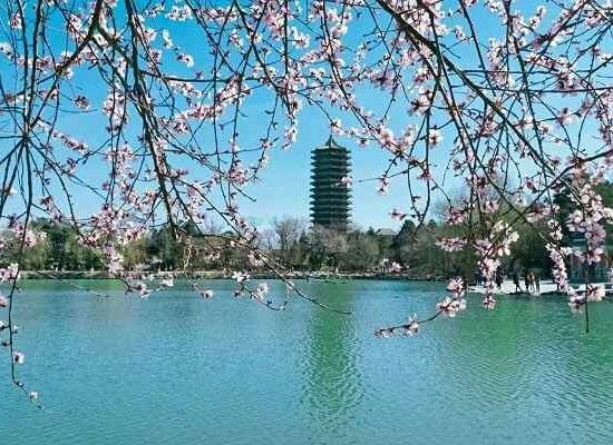 北京大学5