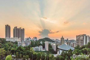 University of Electronic Science and Technology of China Zhongshan Institute