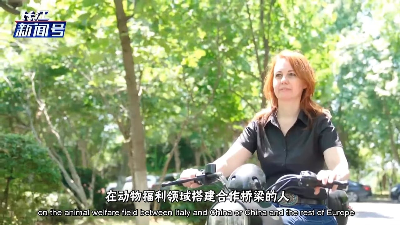Sara Platto – Jianghan University